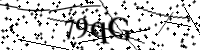 请键入下面的字母